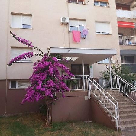 Popovic Appartement Pula Buitenkant foto
