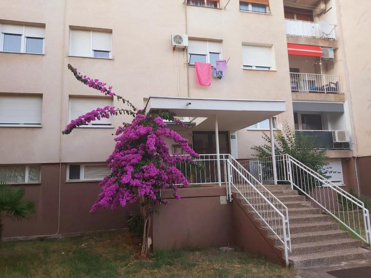 Popovic Appartement Pula Buitenkant foto